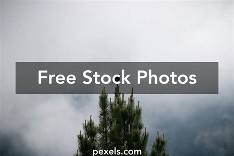 Breeze Videos, Download The BEST Free 4k Stock Video。